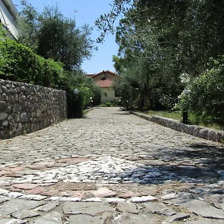 Sea La Vie Holiday home *